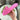 119521 Women Shoes - 24HEARTZ