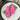 119521 Women Shoes - 24HEARTZ