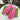 119521 Women Shoes - 24HEARTZ
