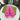 119521 Women Shoes - 24HEARTZ