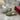 122079 Women Shoes - 24HEARTZ
