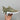 122173 Women Shoes - 24HEARTZ