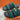 Jackson Slipper - 24HEARTZ